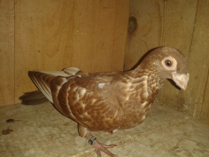 20160702_112143 - pui 2016