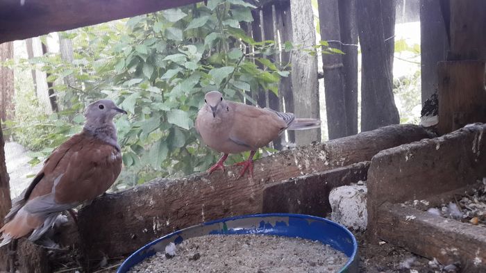 13580573_1341933145823396_7104963129286195709_o 13580573_1341933145823396_7104963129286195709_o