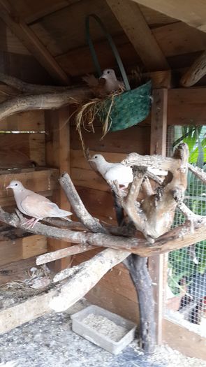 13603266_1341933629156681_8517956006245933575_o 13603266_1341933629156681_8517956006245933575_o