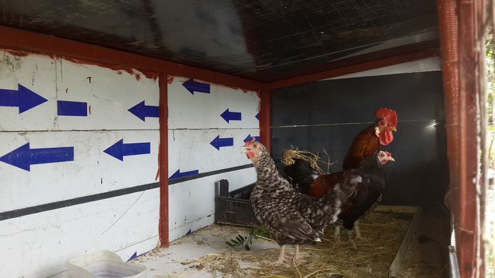 13603397_1341933039156740_7165790423551160825_o 13603397_1341933039156740_7165790423551160825_o