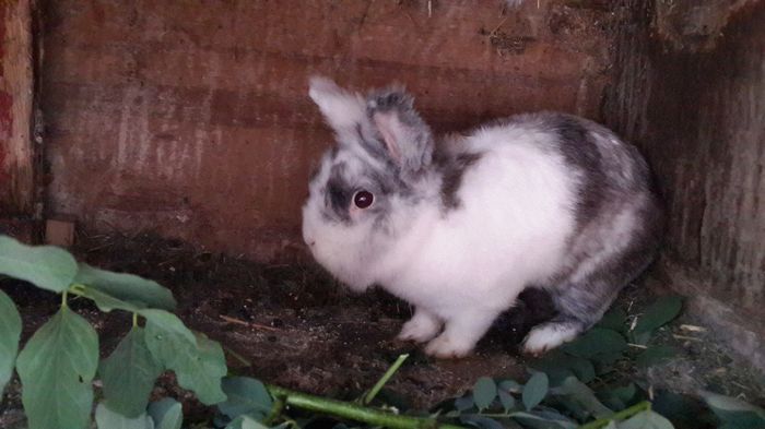 13603512_1341933172490060_352554117728835288_o 13603512_1341933172490060_352554117728835288_o