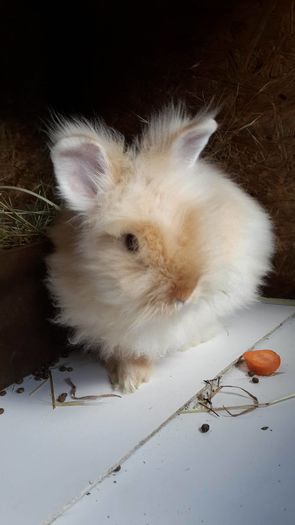 13589037_1342106399139404_741727757_o 13589037_1342106399139404_741727757_o