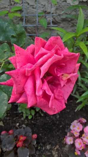 WP_20160703_11_37_12_Pro