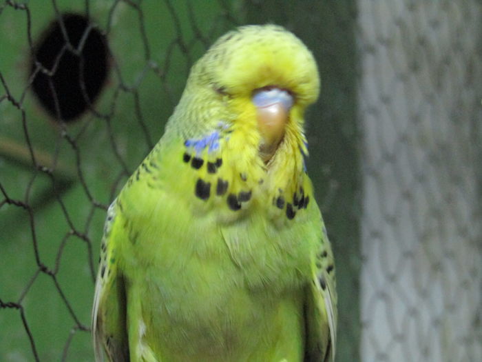 IMG_0456 - pui standard 2016