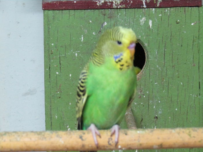 IMG_0513 - pui standard 2016