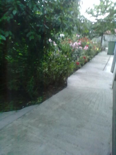 ABCD0018 - muscate 2016