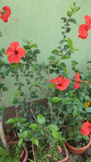 DSC05947