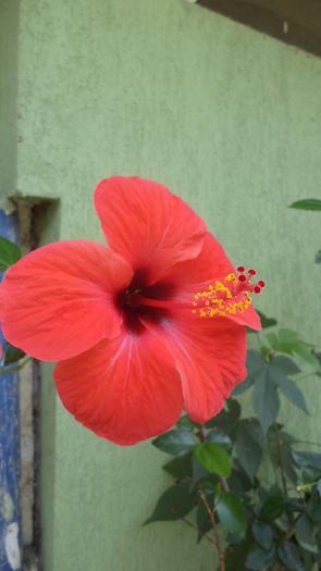 DSC05950