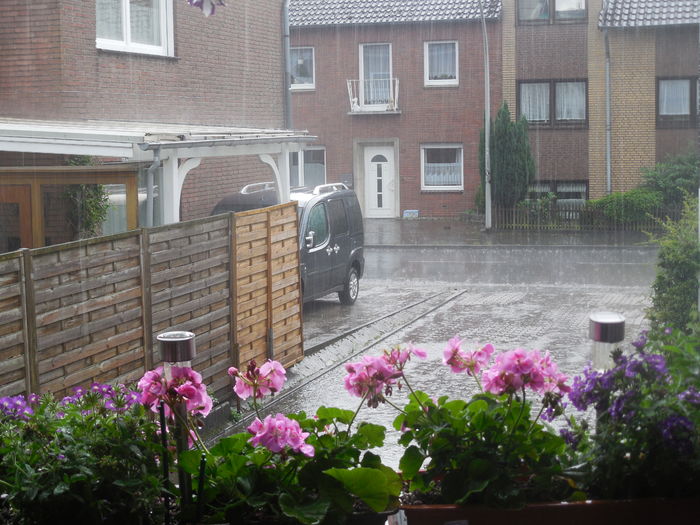 si ca sa fie si mai urat ... - diverse_floricele