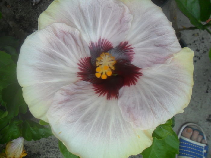 032