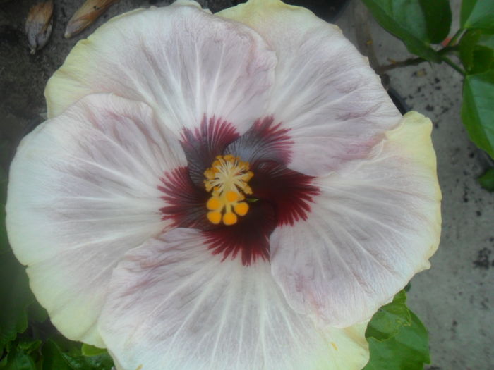 034