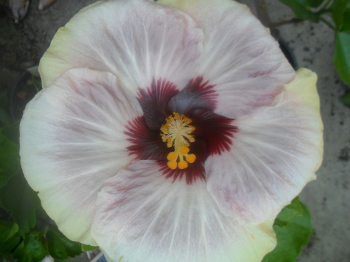 035