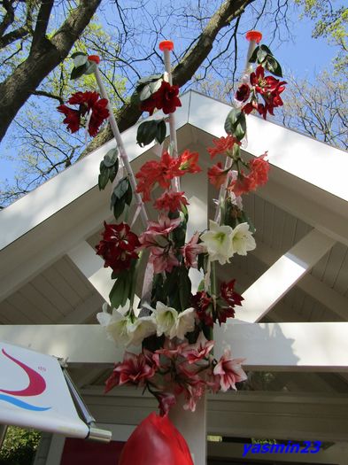 Keukenhof.06.05.2016 257 - 4Keukenhof   Olanda