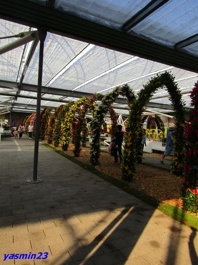 Keukenhof.06.05.2016 469