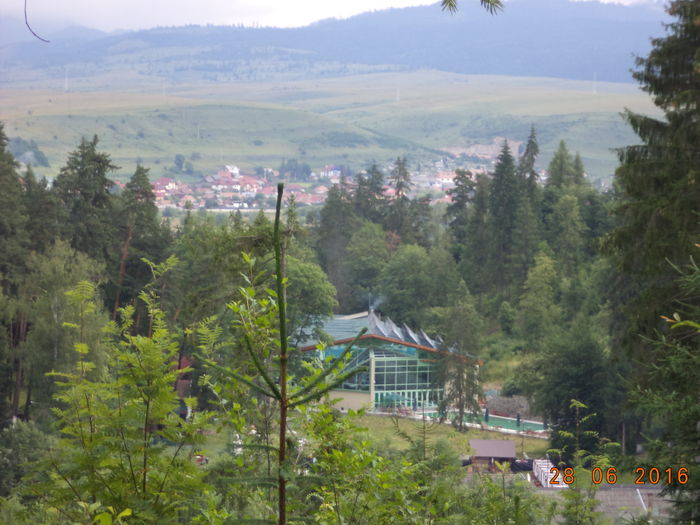 Centrul S.P.A - PLANTE SI FRUNZE DE ARBORI IN HRANA CAPRELOR