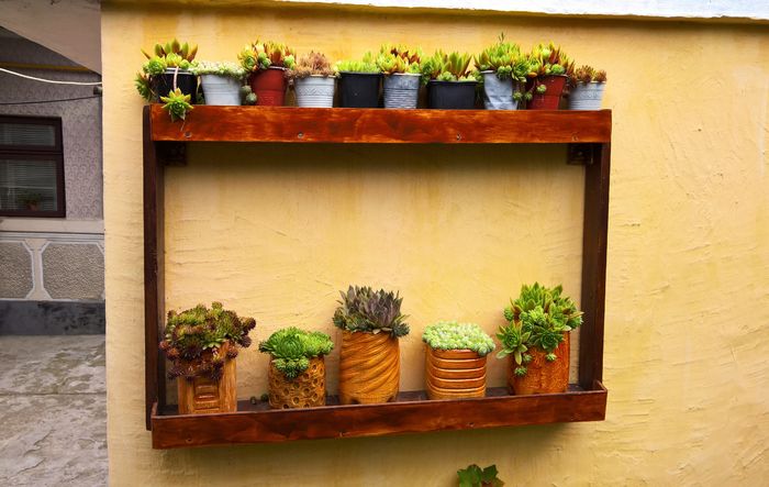 WP_20160705_12_46_56_Pro (2)