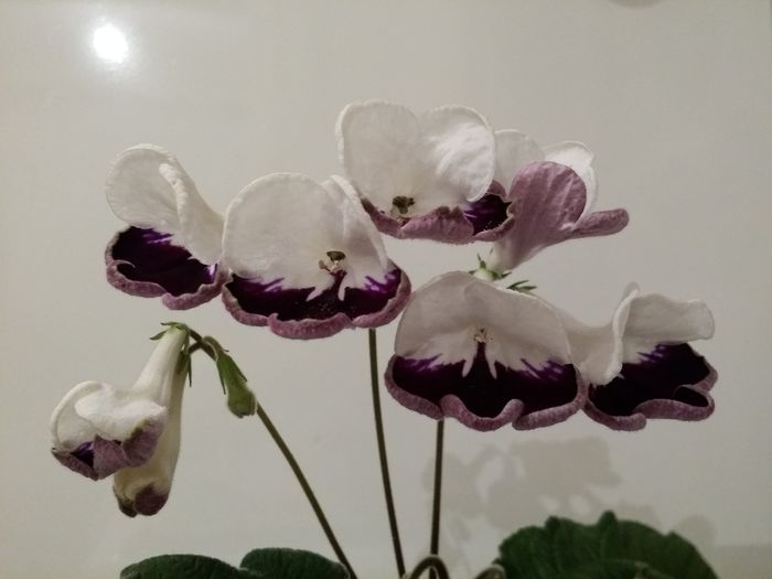 20160704_230002