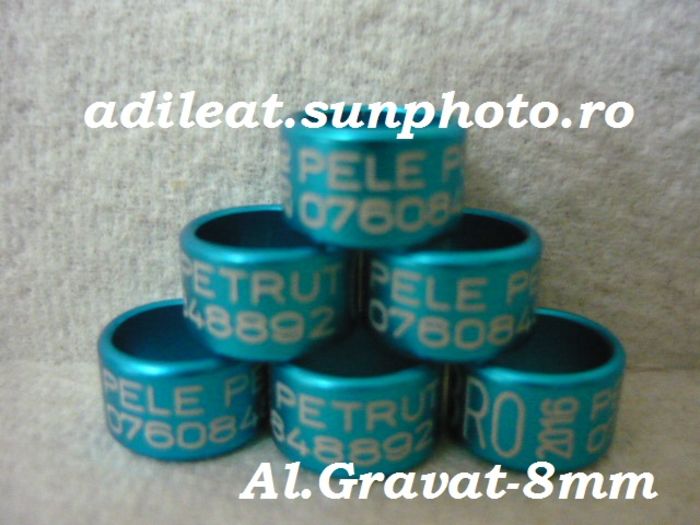 www.adileat.sunphoto.ro - Inele Plastic si Aluminiu Gravat