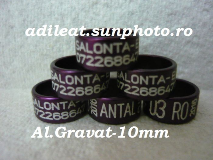 www.adileat.sunphoto.ro - Inele Plastic si Aluminiu Gravat