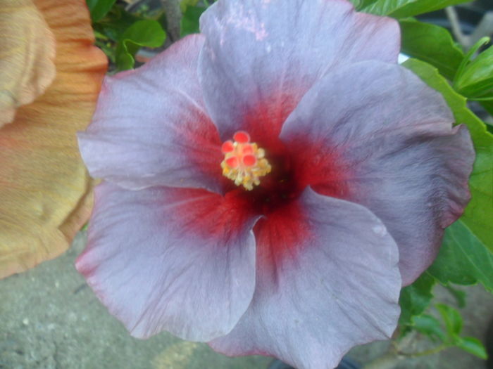 028