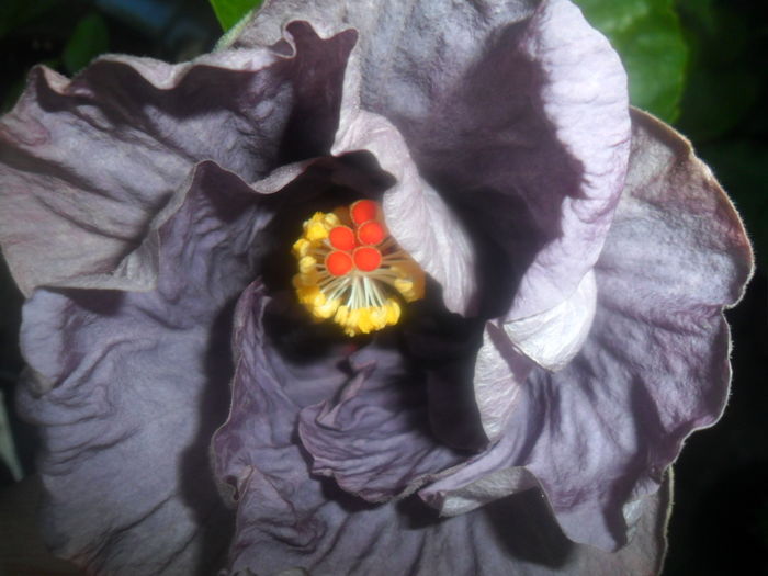 050