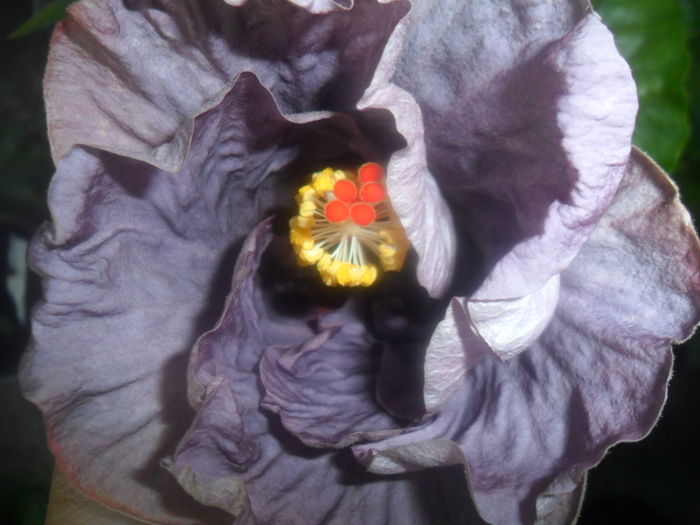 051