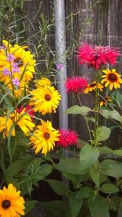 13599037_1155238164538549_1144557659_n - Vara 2014-2017