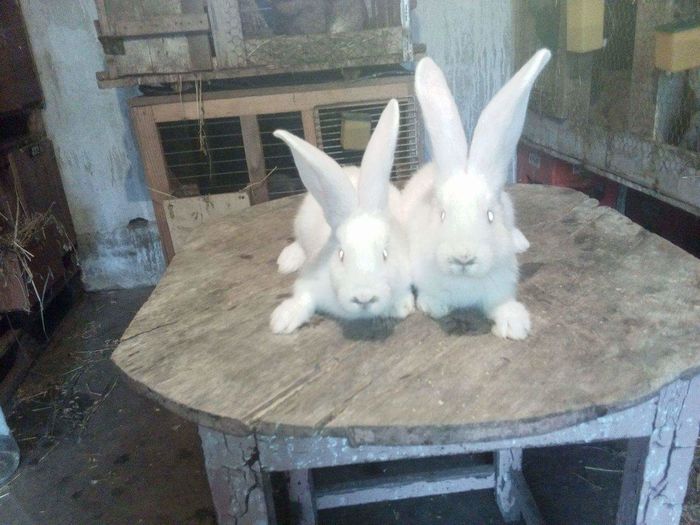 received_1223497904334323