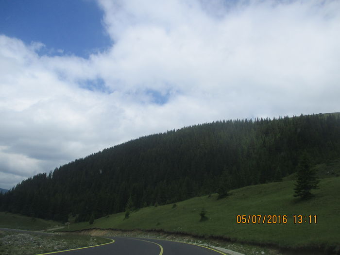 IMG_3979 - Transalpina iulie 2016
