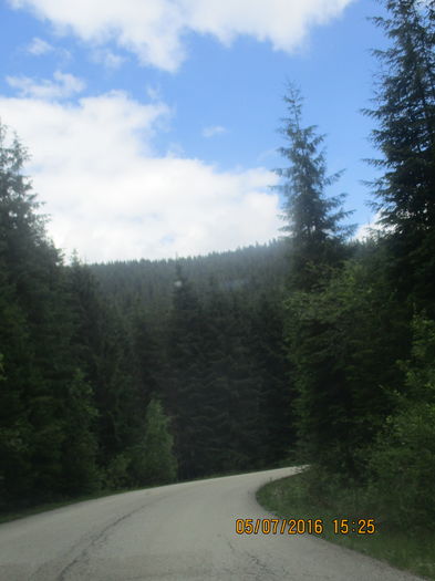 IMG_4007 - Obirsa Lotrului si Lacul Vidra