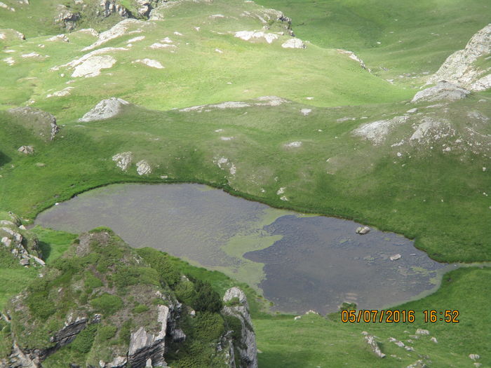 IMG_4063 - Transalpina iulie 2016