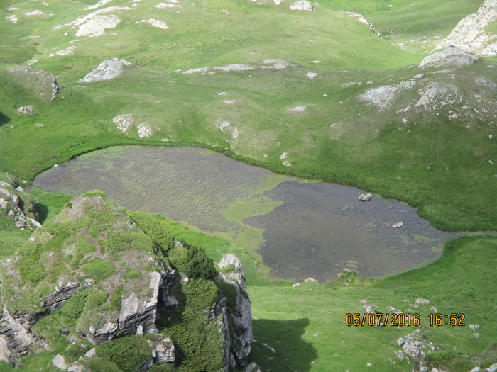IMG_4065 - Transalpina iulie 2016