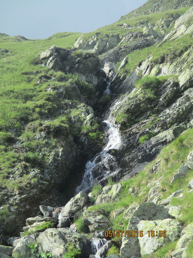 IMG_4076 - Transalpina iulie 2016