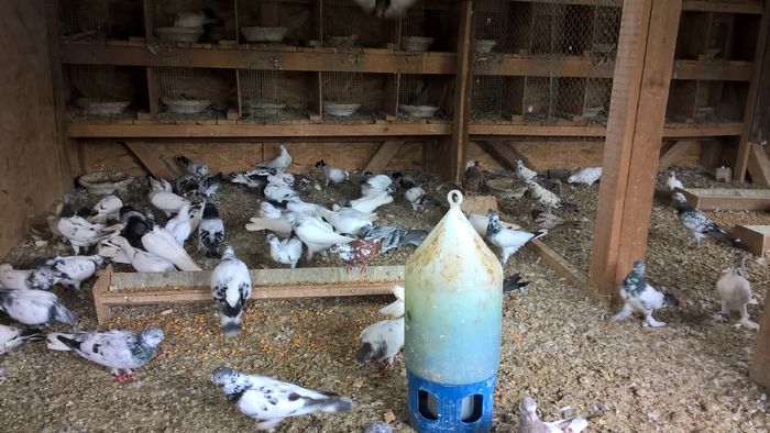 WP_20160706_13_15_14_Pro