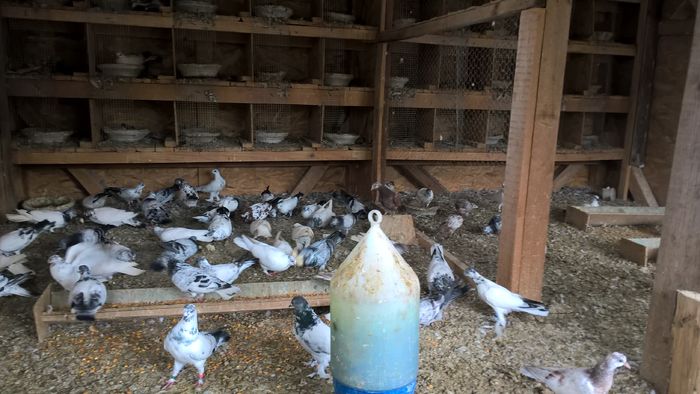 WP_20160706_13_15_19_Pro