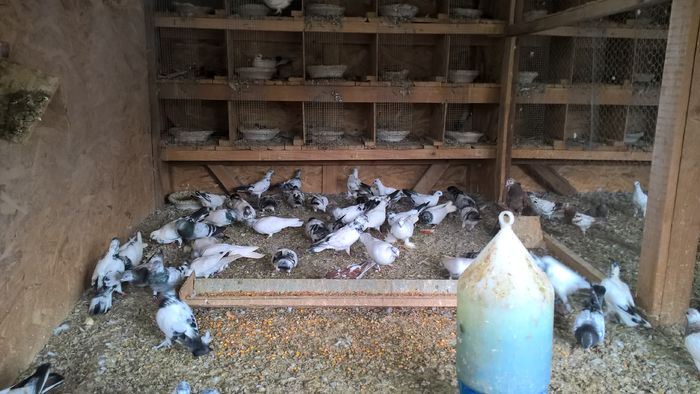 WP_20160706_13_15_23_Pro