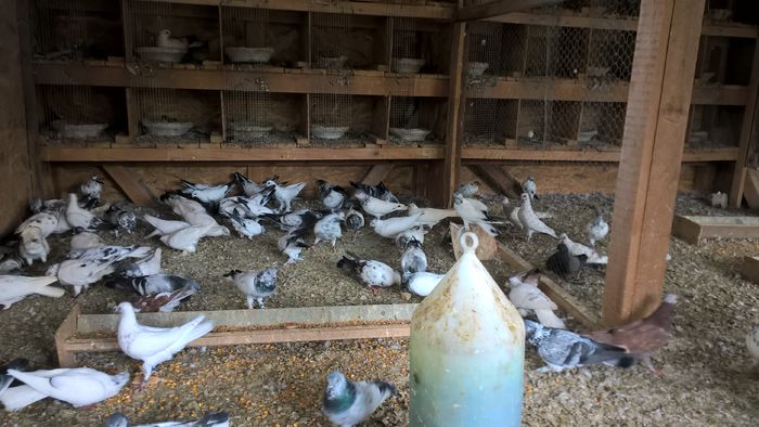 WP_20160706_13_16_05_Pro