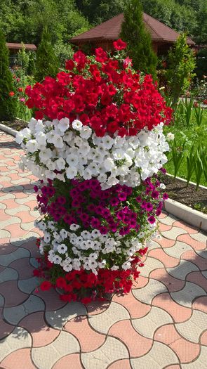 WP_20160706_15_32_25_Pro