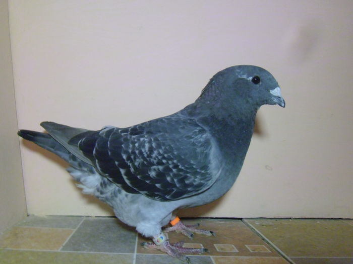 P1040012