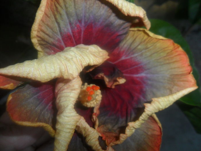 018