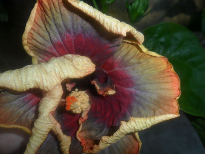 019