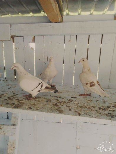 received_1622622738048994