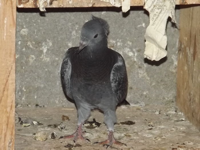 DSCF9914