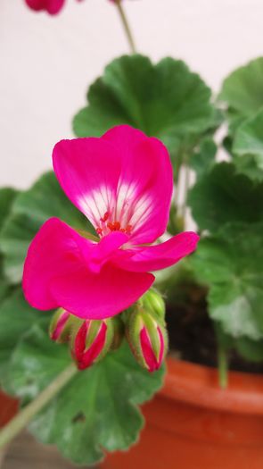 20160706_164158