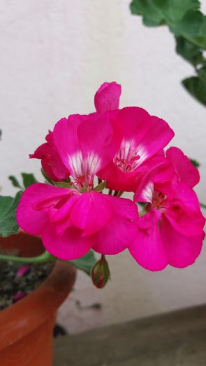 20160706_164149