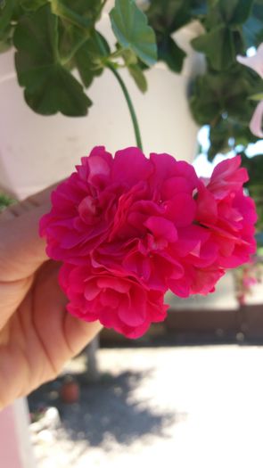 20160708_124900