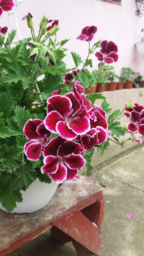 20160613_144017