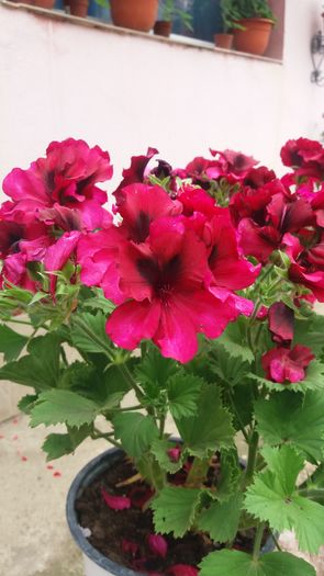 20160613_143511