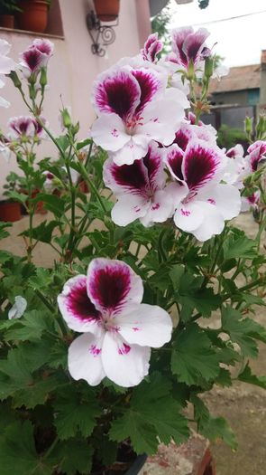20160613_142435