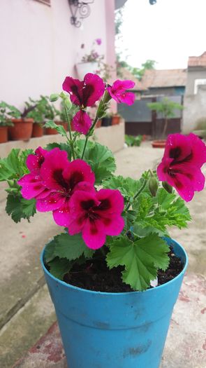 20160613_142636